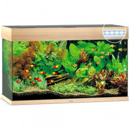 Акваріум Juwel Rio 125 LED прямий, 81х50х36 см, 125 л
