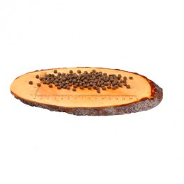 Сухий корм Carnilove Cat Salmon & Turkey для кошенят, лосось та індичка, 6 кг
