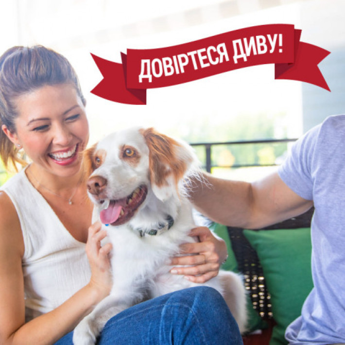 Спрей 8in1 NM ADV Dog Stain&Odor Elimin Spray для собак для усунення плям та запахів, з посиленою формулою, 946 мл