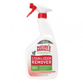 Спрей 8in1 NM Dog Stain&Odor Remover Spray Melon для усунення плям та запахів, з ароматом дині, 946 мл