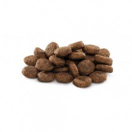 Сухий корм Brit Premium Dog Junior L для цуценят та юніорів великих порід, з куркою, 15 кг