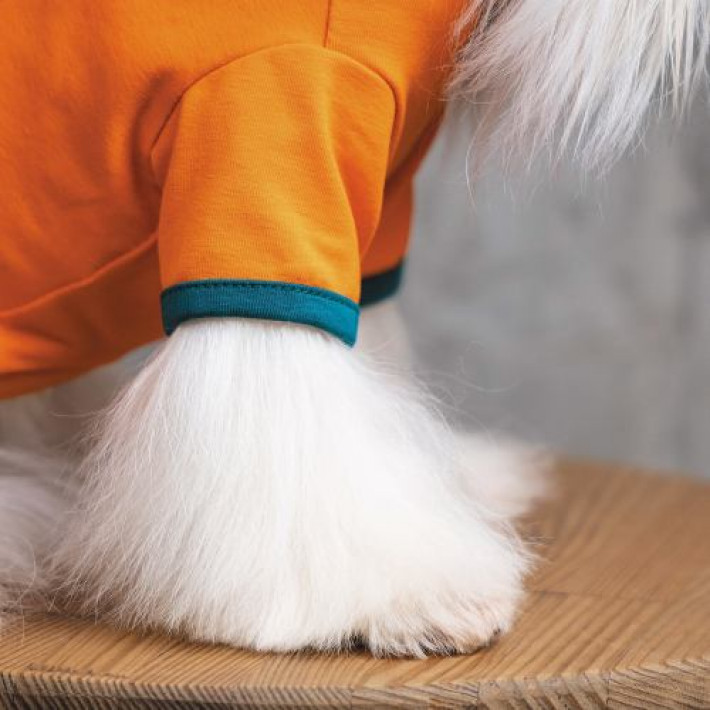 Футболка Pet Fashion «Art» для собак, розмір M, помаранчева
