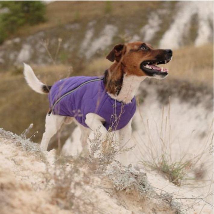 Жилет Pet Fashion «E.Vest» для собак, розмір S, фіолетовий