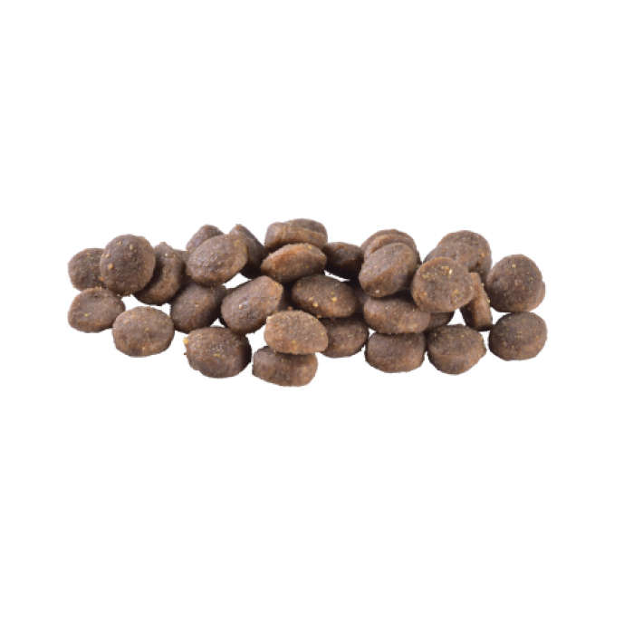 Сухий корм Brit Care Dog Grain-free Puppy для цуценят, беззерновий з лососем, 1 кг