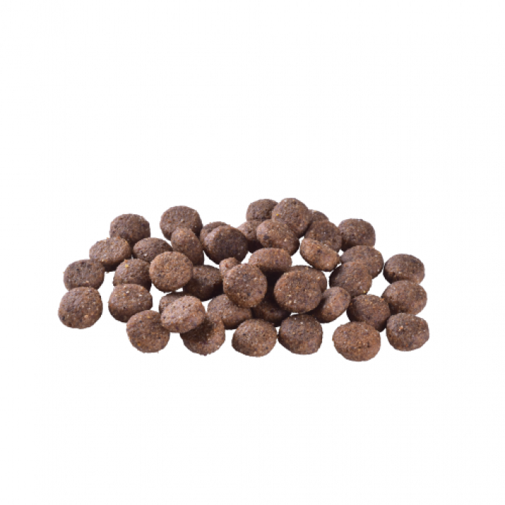 Сухий корм Brit Care Dog Grain-free Adult для собак малих і середніх порід, беззерновий з лососем, 1 кг