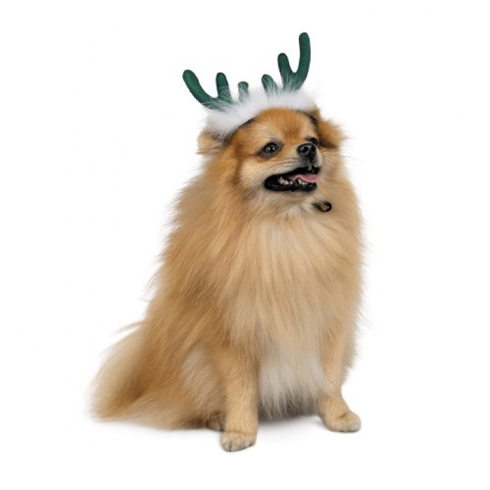 Аксесуар-ріжки Pet Fashion "Deer" для собак, розмір M-L, зелені