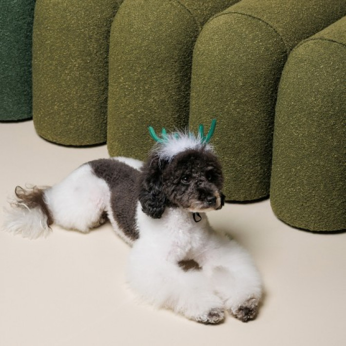 Аксесуар-ріжки Pet Fashion "Deer" для собак, розмір XS-S, зелені