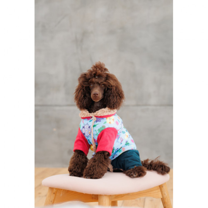 Костюм Pet Fashion Alisa для дівчинки розмір XS2