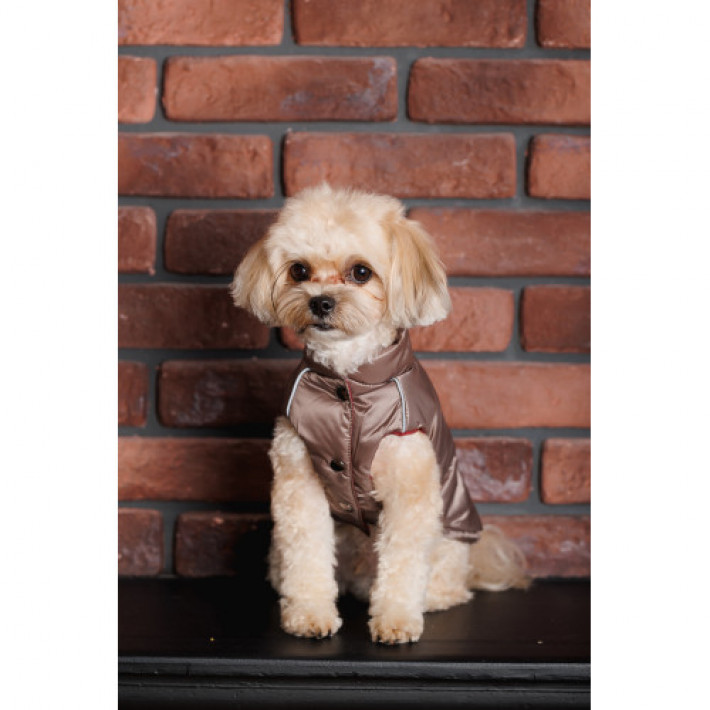 Жилет Pet Fashion Hardy для собак розмір M2