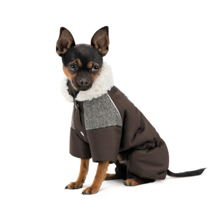 Костюм Pet Fashion Locky S2 для собак