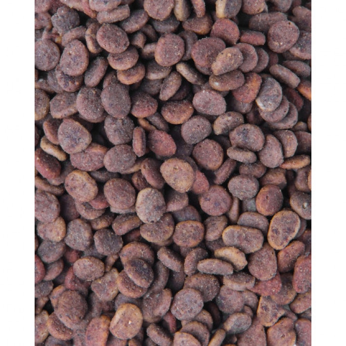 Корм сухий для котів Carnilove True Fresh Cat Turkey з індичкою, 4,8 кг