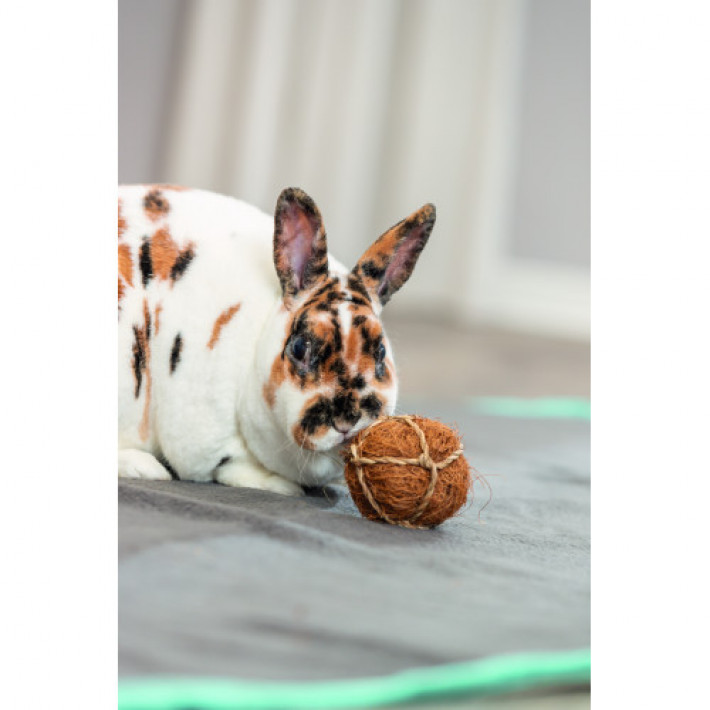 Іграшка Trixie Кокосовий м'яч для гризунів d 6 см