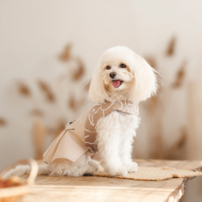 Сарафан Pet Fashion Lily для собак дівчинка бежевий S