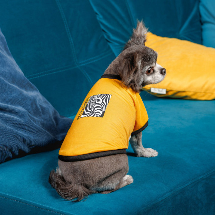 Футболка Pet Fashion Jessica для собак бавовна трикотаж жовта XS2