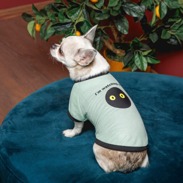 Футболка Pet Fashion Oscar для собак бавовна трикотаж рібана блакитна L