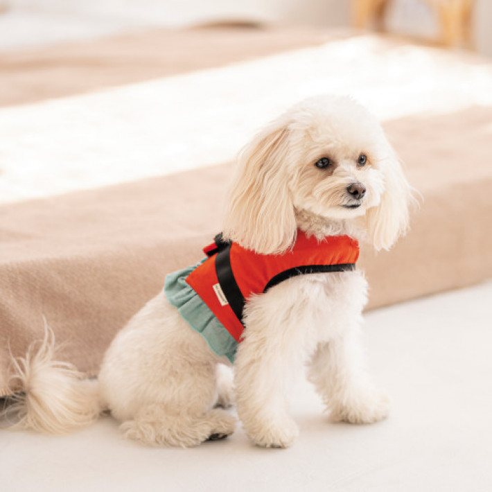 Шлея Monika ТМ Pet Fashion для собак XXS червона
