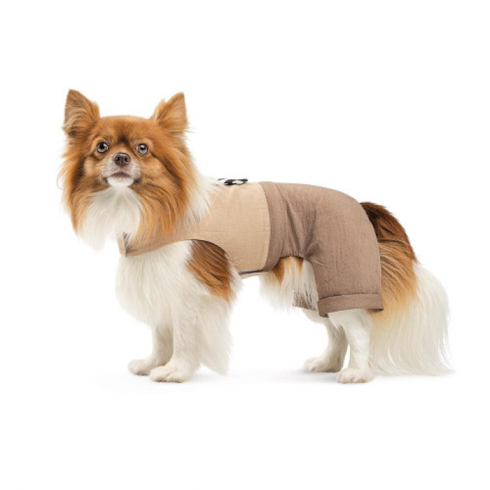 Шлея-костюм Darcy ТМ Pet Fashion для собак XXS бежева