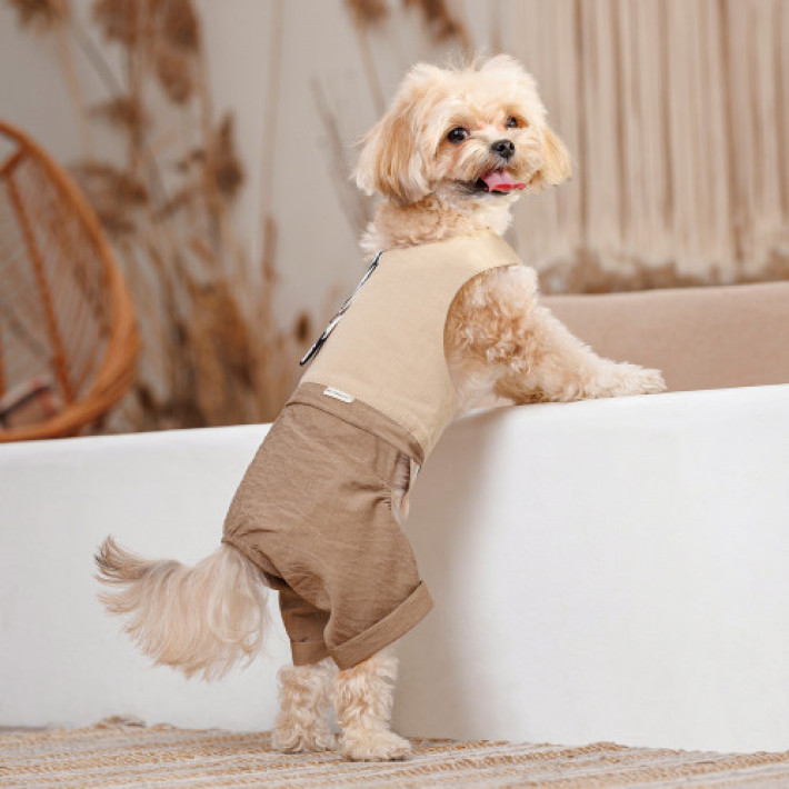 Шлея-костюм Darcy ТМ Pet Fashion для собак XXS бежева