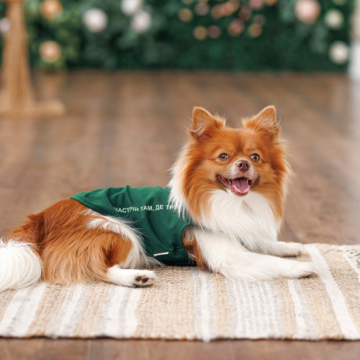 Борцівка Kale ТМ Pet Fashion для собак M зелена