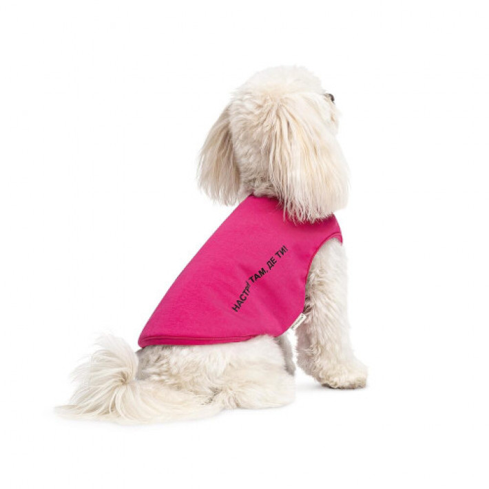 Борцівка Kale ТМ Pet Fashion для собак M малина