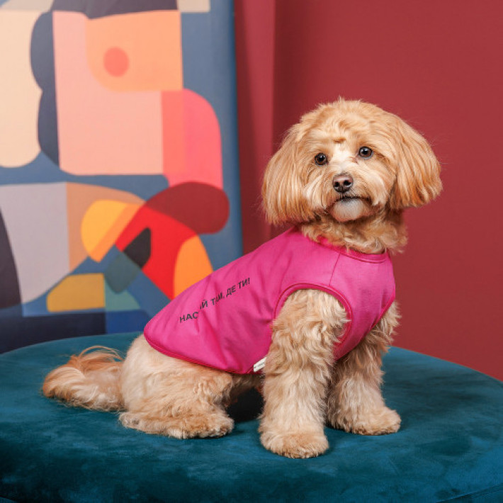Борцівка Kale ТМ Pet Fashion для собак M малина