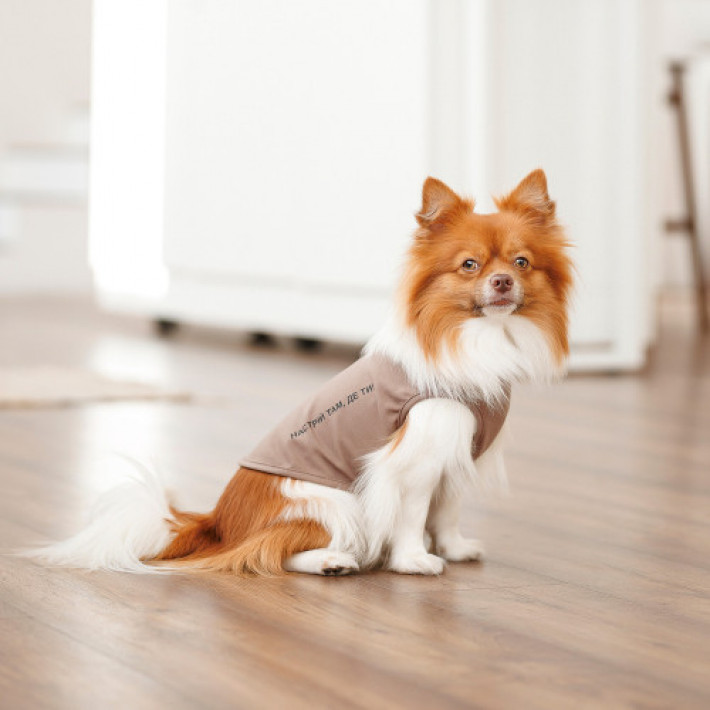 Борцівка Kale ТМ Pet Fashion для собак XS2 коричнева