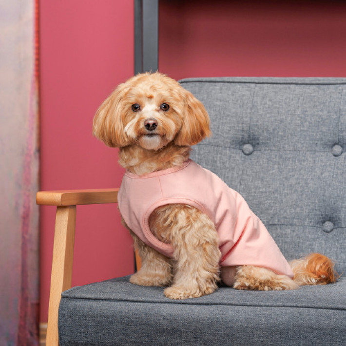 Борцівка Kale ТМ Pet Fashion для собак M рожева