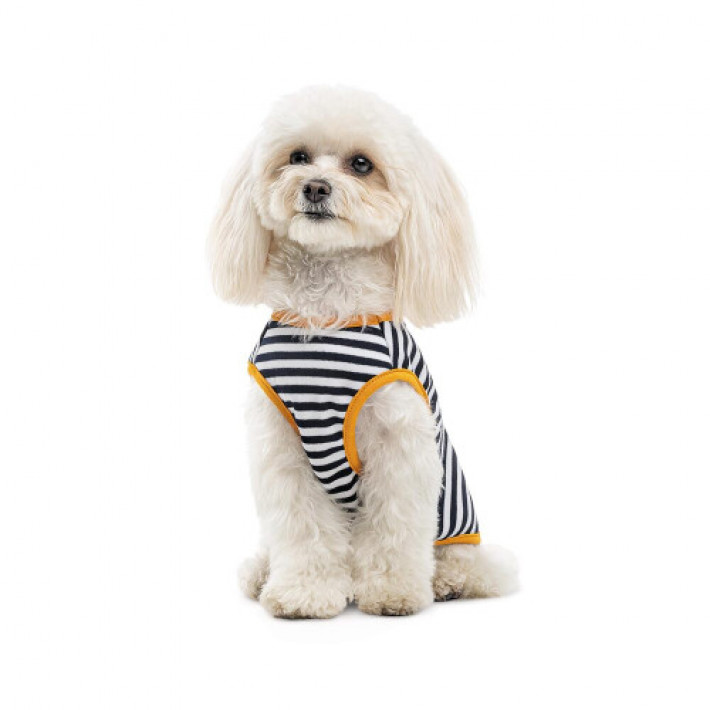 Борцівка Kale ТМ Pet Fashion для собак XS смугаста
