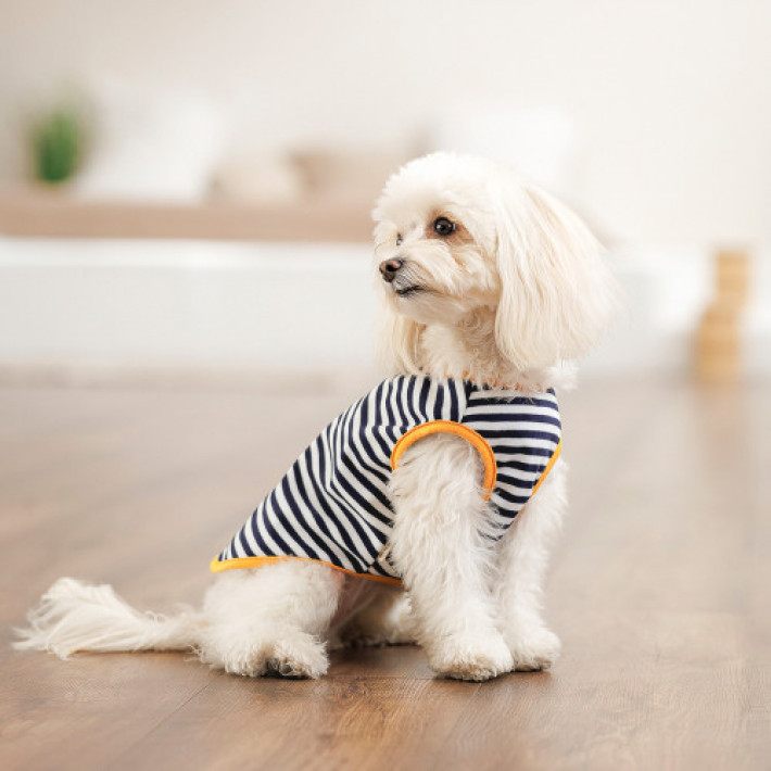 Борцівка Kale ТМ Pet Fashion для собак XS смугаста