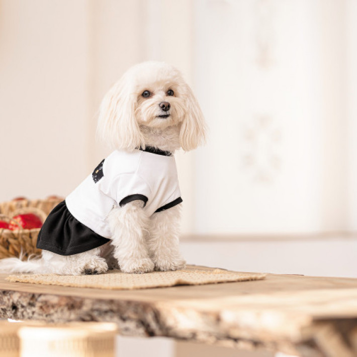 Сукня Chanti ТМ Pet Fashion для собак M білий/чорний