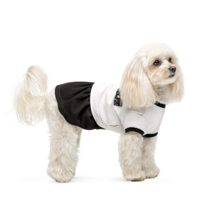 Сукня Chanti ТМ Pet Fashion для собак XS2 білий/чорний