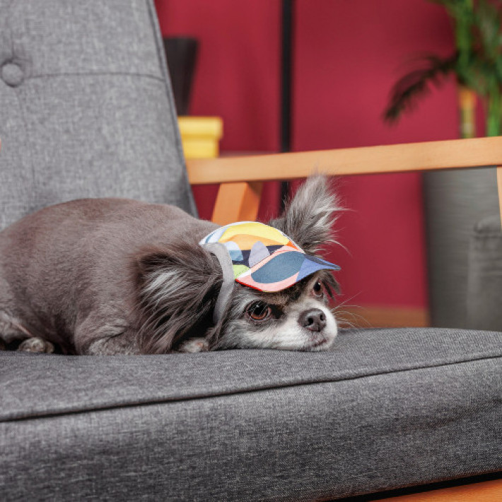 Кепка Tony ТМ Pet Fashion для собак M принт