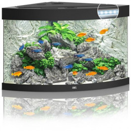 Акваріум Juwel кутовий Trigon 190 LED чорний, 99х60х70 см, 190 л